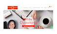 diseñare, desarrollare sitio web completo en wordpress