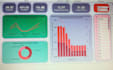 data analysis expert and visualization