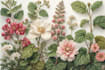draw an unique botanical illustration
