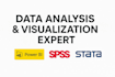 data analysis and visualization expert