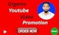 do organic youtube video promotion