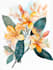 illustrate best botanical illustration