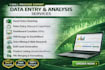 data entry, excel data analysis, dashboard, data cleaning, and PDF to excel