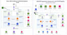 design, configure and troubleshoot your AWS cloud infrastructure