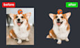 professionally remove background from images