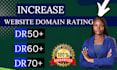 increase german website domain rating DR 70 high authority backlinks trust flow