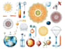design scientific medical anatomy educational illustrations
