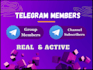 boost crypto telegram promotion, crypto telegram marketing, telegram subscriber