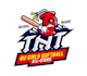 design unique softball logo