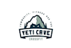 design outstanding professional mountain logo