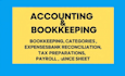 provide services accounting and bookkeeping
