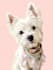 do disney pets portrait illustration in disney style