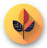design custom flat icon or logo