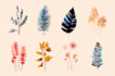design a unique botanical boho logo