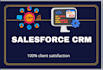 fix salesforce crm issues, create flows, and build apex triggers