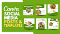 design professional canva instagram and facebook social media posts