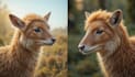 draw custom pet portrait or animal art