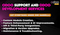 provide odoo support and odoo development services