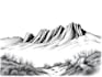 draw a crosshatching engraving style illustration