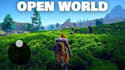 develop 3d car driving game, go kart racing game metaverse game, open world game