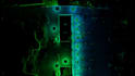 register, align and georeference point cloud scans