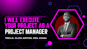 execute your project as a project manager