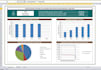 do data entry, data cleaning, and data visualization in excel