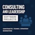 business and IT strategy consulting, software project management