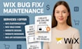 fix wix website bug fix design redesign wix website maintenance