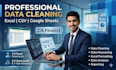data cleaning, data processing, excel formatting, reporting