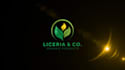 do professional logo animation youtube intro video in 24h