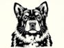 create awesome linocut illustration for your brand