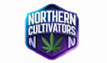 design a professional natural or eco friendly logo for your