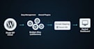 set up and configure your wordpress multisite network with domain mapping