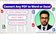 convert the PDF to excel, and do data cleaning