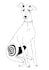 draw your pet as a little monster