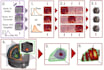 analyze your biomedical data
