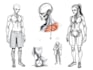 draw professional medical concept sketches