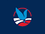 create a political logo design or campaign flyer