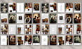 design newspaper, magazine layout, brochure, catalog, any canva, adobe indesign