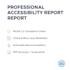 perform a professional website accessibility audit and report