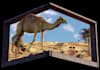 create realistic 3d anamorphic billboard animation