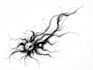 professional tattoo design black and white