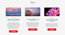 bring your web design to life with clean, responsive code