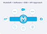 provide expert mulesoft API development and integration solutions