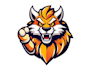 design an awesome mascot logo
