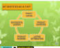 setup manage and optimize amazon PPC campaigns ads sponsored