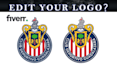 do redraw, vectorize, trace, recreate your logo into vector