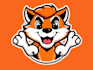 design a unique cartoon mascot logo