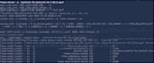 do expert llama deployment GPU optimization local inference and custom fine tune